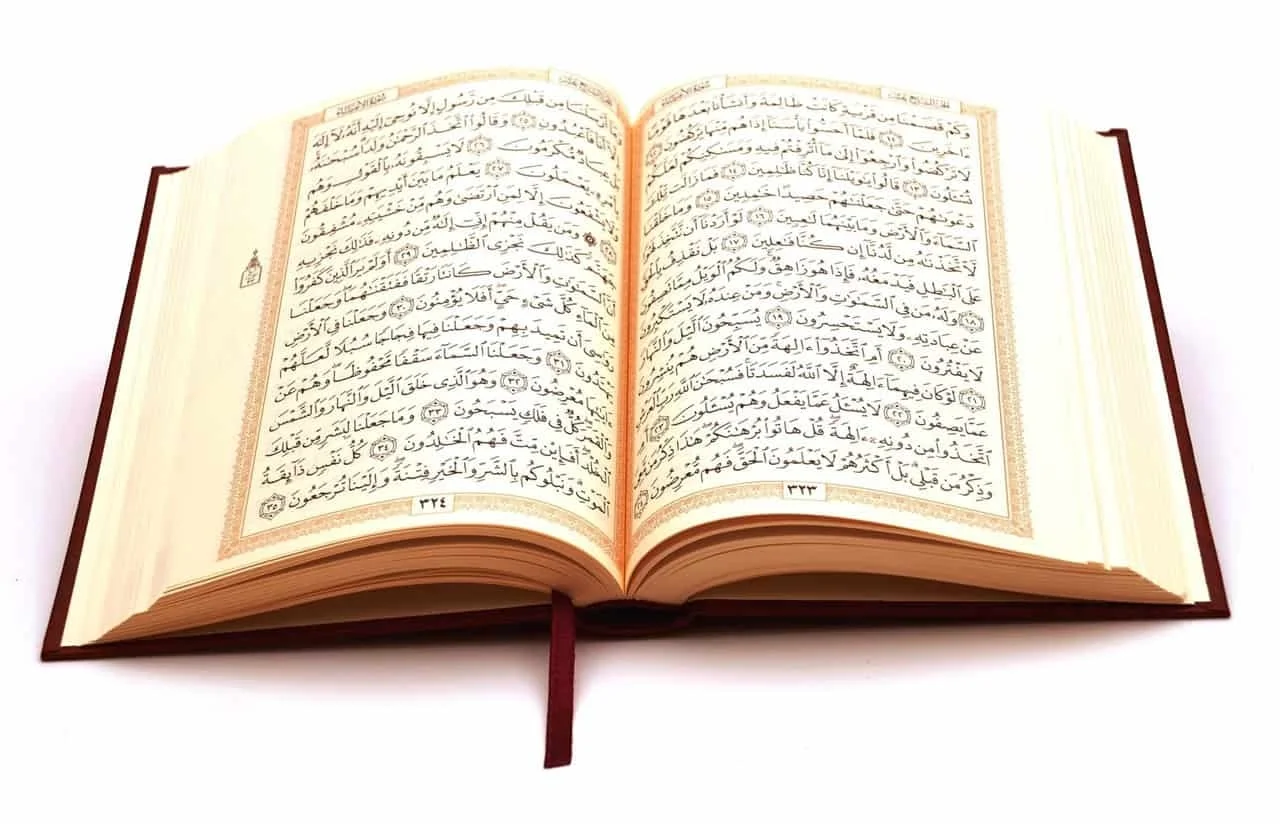 السُّنن الكونية.. مضارّها ومنافعها