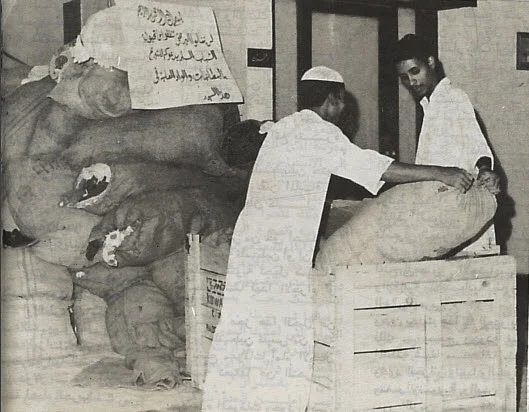 دور جمعية الإصلاح الاجتماعي في حرب أكتوبر 1973