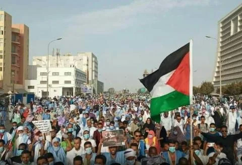 موريتانيا.. اتساع رقعة الاحتجاجات المناهضة للكيان الصهيوني