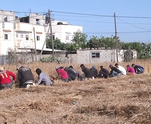 "كوماندوز".. فريق شبابي لتوفير لقمة العيش في غزة