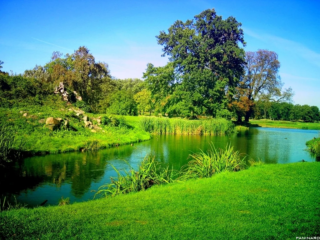 إدارة النعيم ومسؤولياته