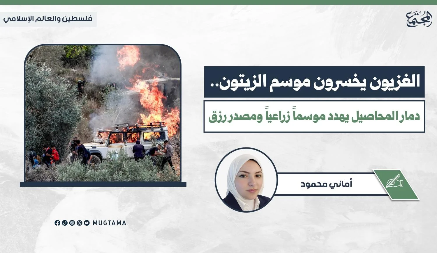 الغزيون يخسرون موسم الزيتون.. دمار المحاصيل يهدد موسماً زراعياً ومصدر رزق