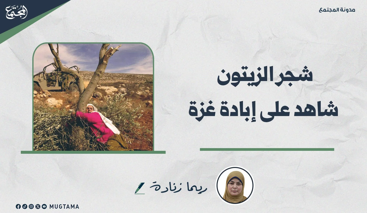 شجر الزيتون شاهد على إبادة غزة