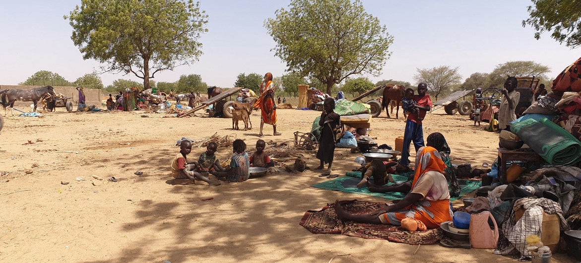 لاجئون يفرّون من العنف الأخير في دارفور بالسودان، يستظلون تحت الأشجار قرب بلدة أدري في تشاد.